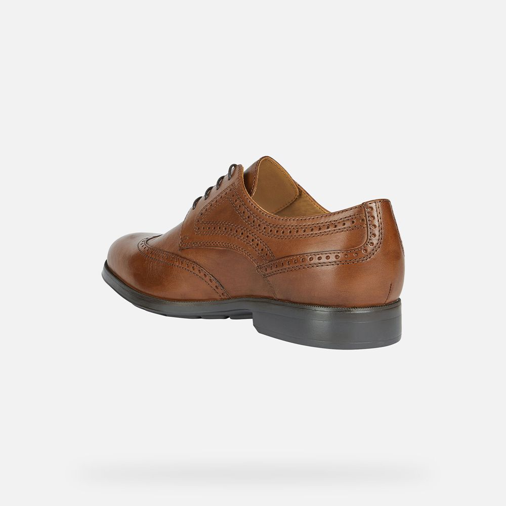 Sapatos Formais Geox Homem Marrom - Hilstone Wide - MKPBW3469